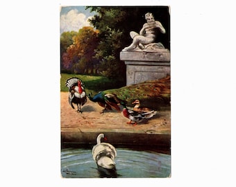 Antique Bird Postcard, Turkey, Peacock, Ducks and a Swan Near a Statue, Unused - 19209d