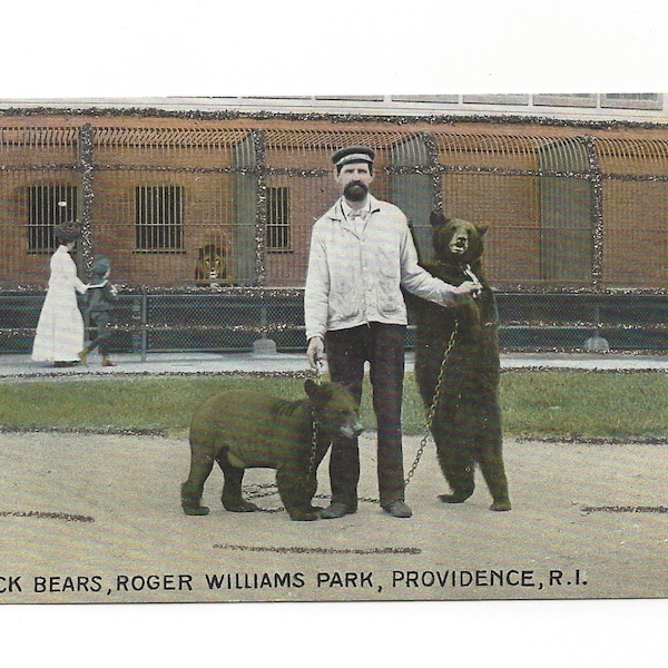 Antique Providence, Rhode Island Postcard, Black Bears and the Keeper at Roger Williams Park, Glitter UDB - 18018a