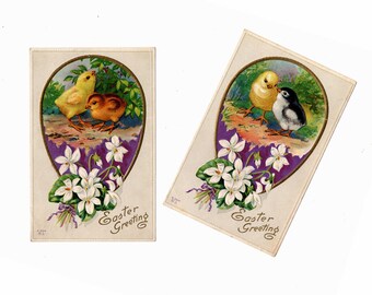2 Colorful Antique Easter Postcards, Baby Chicks and White Violets, Edward Nash E-304, Purple and Gold Egg - 18401
