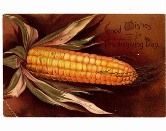 Antique 1907 Thanksgiving Postcard, Ear of Yellow Corn, Signed Ellen H. Clapsaddle, IAPC - 17920h