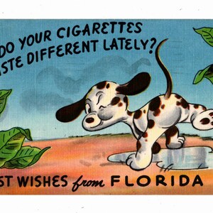 tobacco halifax oak egger H1181 ST37 Tobacco Halifax Oak tobacco halifax oak egger H1181 ST37 Tobacco Halifax Oak