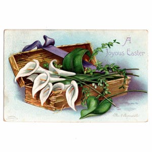 1909 Easter Postcard, Basket of Calla Lilies, Signed Ellen H. Clapsaddle IAPC - 20029P