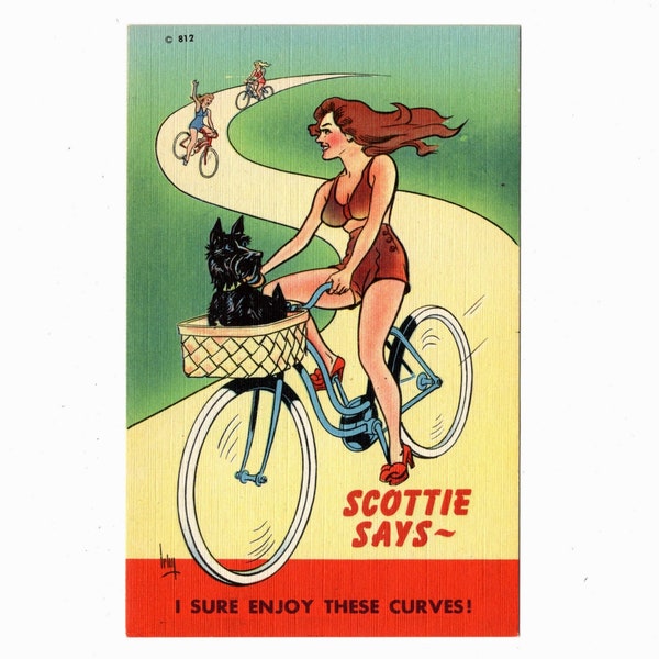 Scottie Says Vintage Postcard, Dog in Bicycle Basket Enjoying the Curves, Artist Signed Lehy, Unused  - 18451