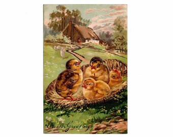 Antique Easter Postcard, Chicks in a Basket Near Cottage, Paul Finkenrath - 19956Pa