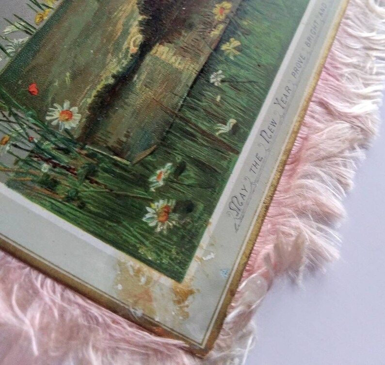 12280Pd Hildesheimer /& Faulkner Chromolithograph 2 Sided Antique Pink Silk Fringe Hanging Christmas Card