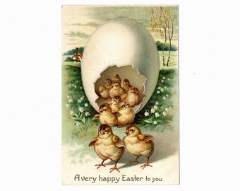 Cute Fantasy Antique Easter Postcard, Baby Chicks Hatching From a Big White Egg, Lily of the Valley, IAPC - 18402