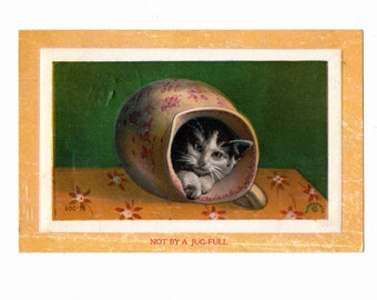 Vintage Postcard, Kitty Cat in a Pitcher, Not By a Jug Full, 1911 Bristol, New Hampshire - 18345
