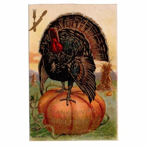 May include: Vintage Thanksgiving postcard featuring a turkey standing on a large orange pumpkin. The turkey has black feathers, a red wattle, and a fanned tail. The pumpkin has the words "Thanksgiving Greetings" on it. A fork and knife are in the upper left corner.