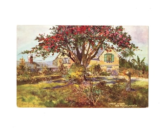 Antique Jamaican Art Postcard, Great House, Vale Royal, Artist Signed, Holland Tringham, Raphael Tuck Series 7295 - 17840Pb