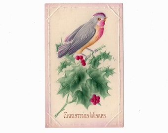 Pretty Embossed 1910 Christmas Postcard, Colorful Purple and Pink Bird on Holly Branch, Used - 17701b