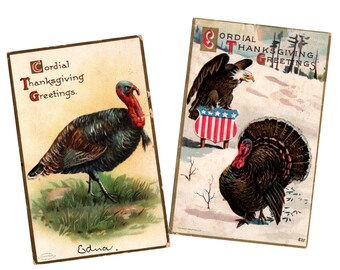 2 Antique Thanksgiving Postcards, Cordial Greetings, Turkey, Patriotic Eagle, Used Scatter Cards - 20506