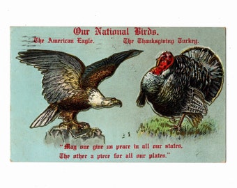 1908 Thanksgiving Postcard, Our National Birds, American Eagle and Thanksgiving Turkey, Embossed - 18436f