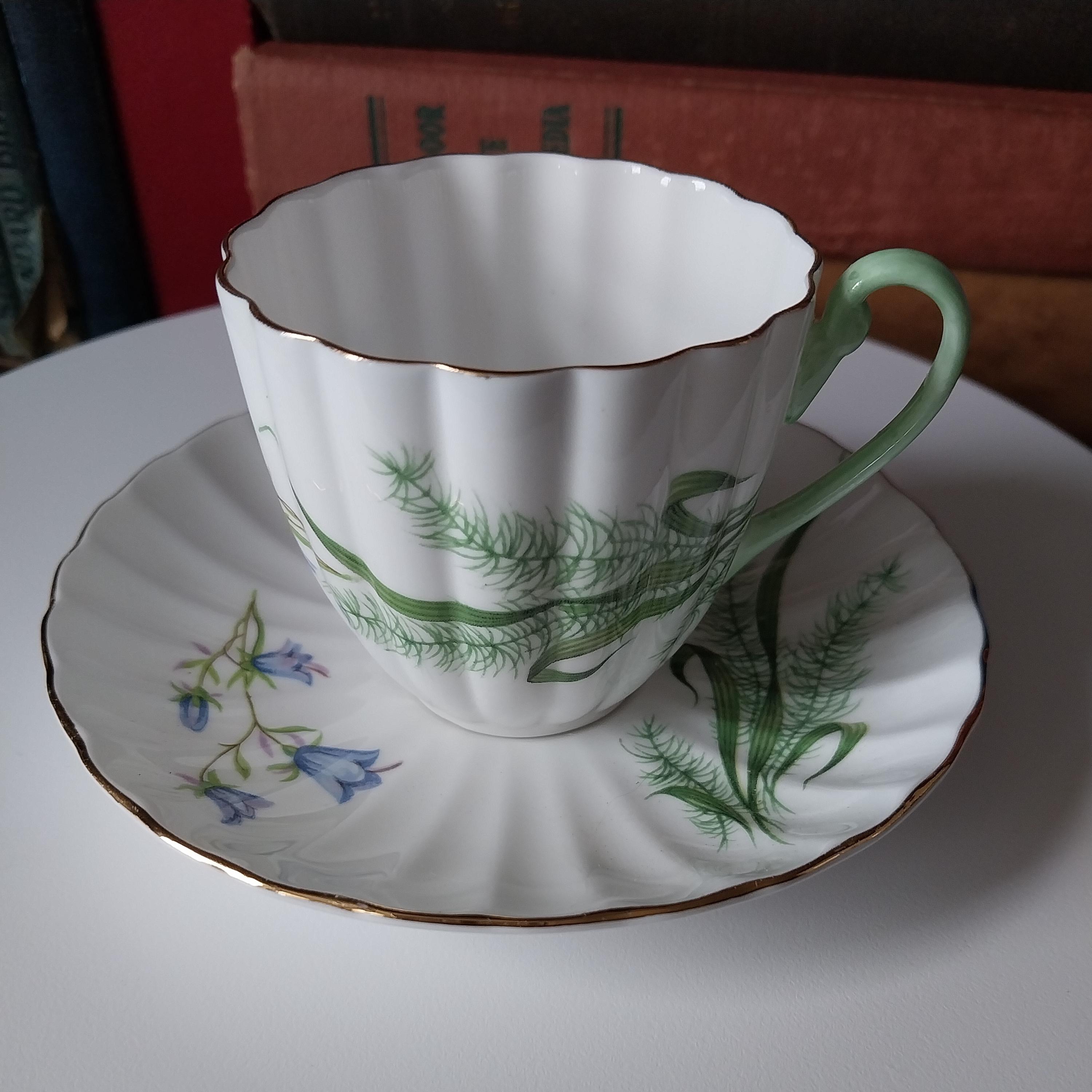 Shelley Ludlow Shape - Etsy