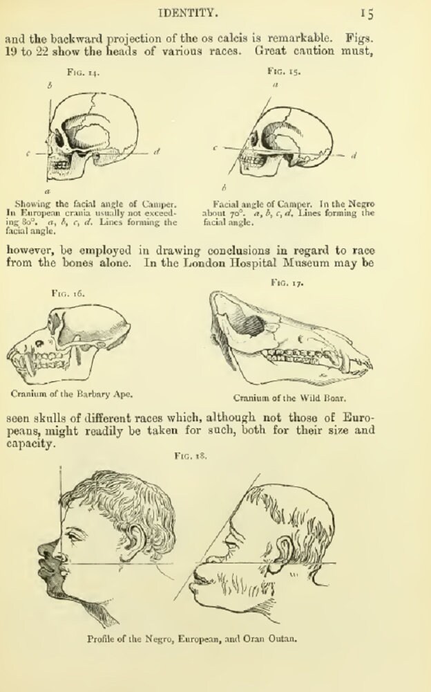 Forensic Science Fingerprints Evidence Physiology Toxicology | Etsy