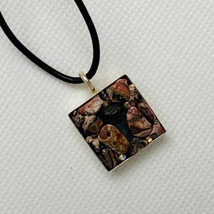Shark Tooth with Leopard Agate Pendant in Square Base
