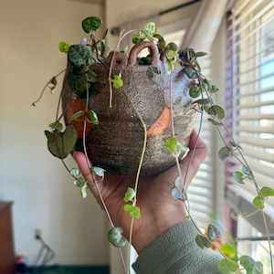 Loopy Planter ft. Orange Slices, plant holder, clay pot, clay loops, unique planter, houseplant pot, brown planter, earthy pot, clay  pot