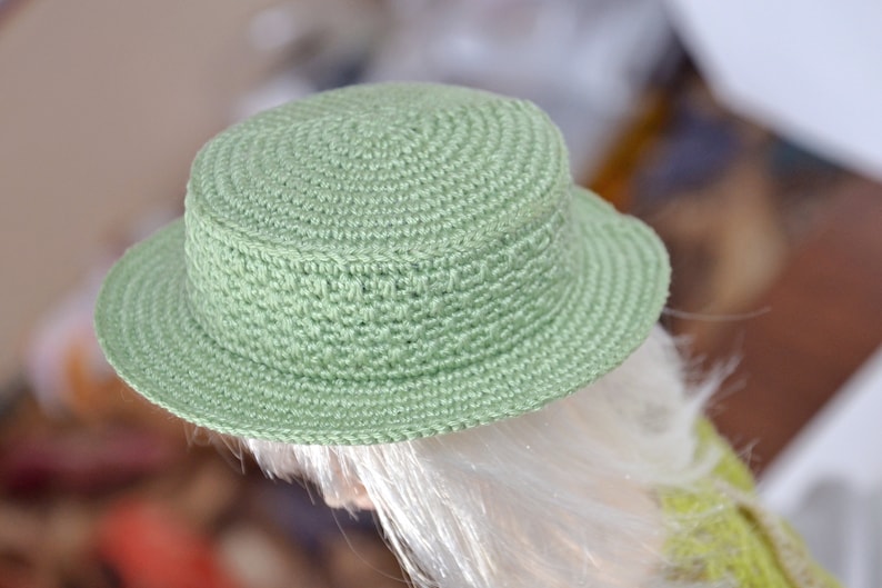 Peut inclure: Un chapeau crochet&eacute; vert clair &agrave; large bord.
