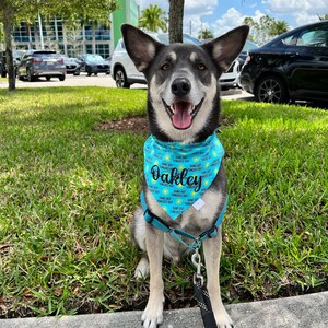 Suns Out Tongues Out Bandana