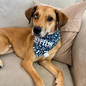 Treat Taster Bandana