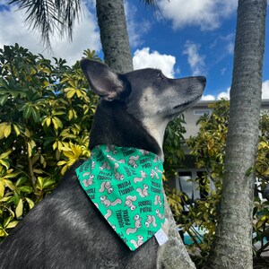 Squirrel Patrol Bandana