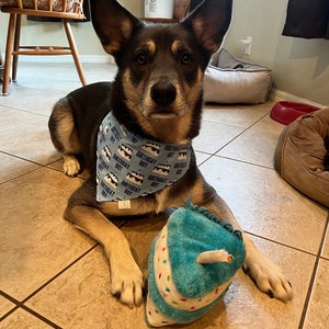 Birthday Bandana