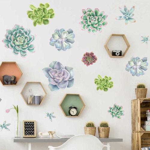 Succulent Variety Watercolor Wall Decal Kit Flower Wall Etsy