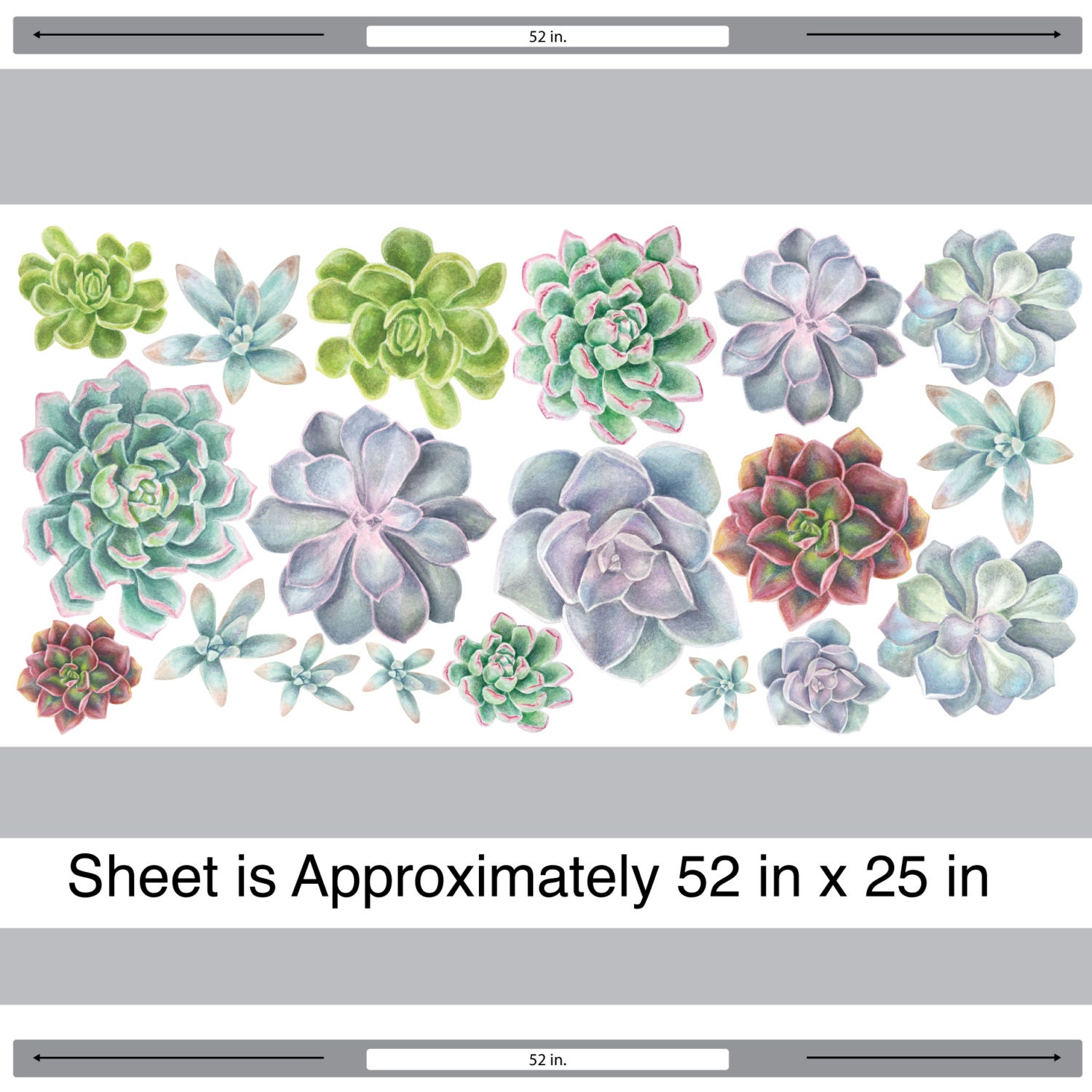 Succulent Variety Watercolor Wall Decal Kit Flower Wall Etsy