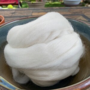 Peut inclure: Une grande masse de fibres de laine blanche et duveteuse, remplissant un bol en céramique avec un bord bleu et marron. La laine semble douce et est probablement utilisée pour l'artisanat ou les projets textiles.