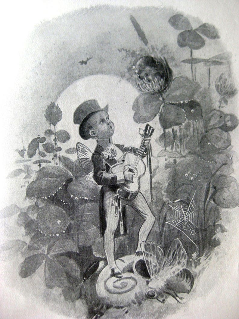 May include: Black and white illustration of a fairy playing a guitar. The fairy is wearing a hat, jacket, and pants, with butterfly wings. The fairy is standing on a snail shell, surrounded by plants and a spider web.
