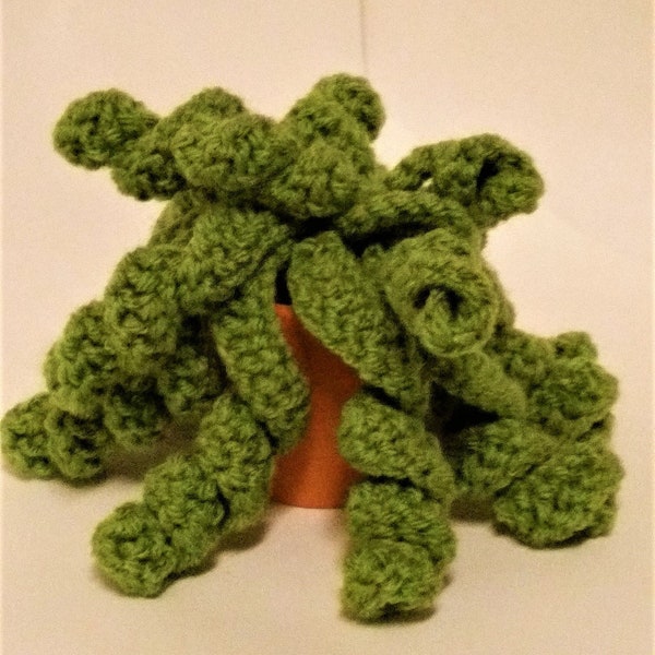 Vine Crawler (Trachyandra) Crochet Succulent Kit