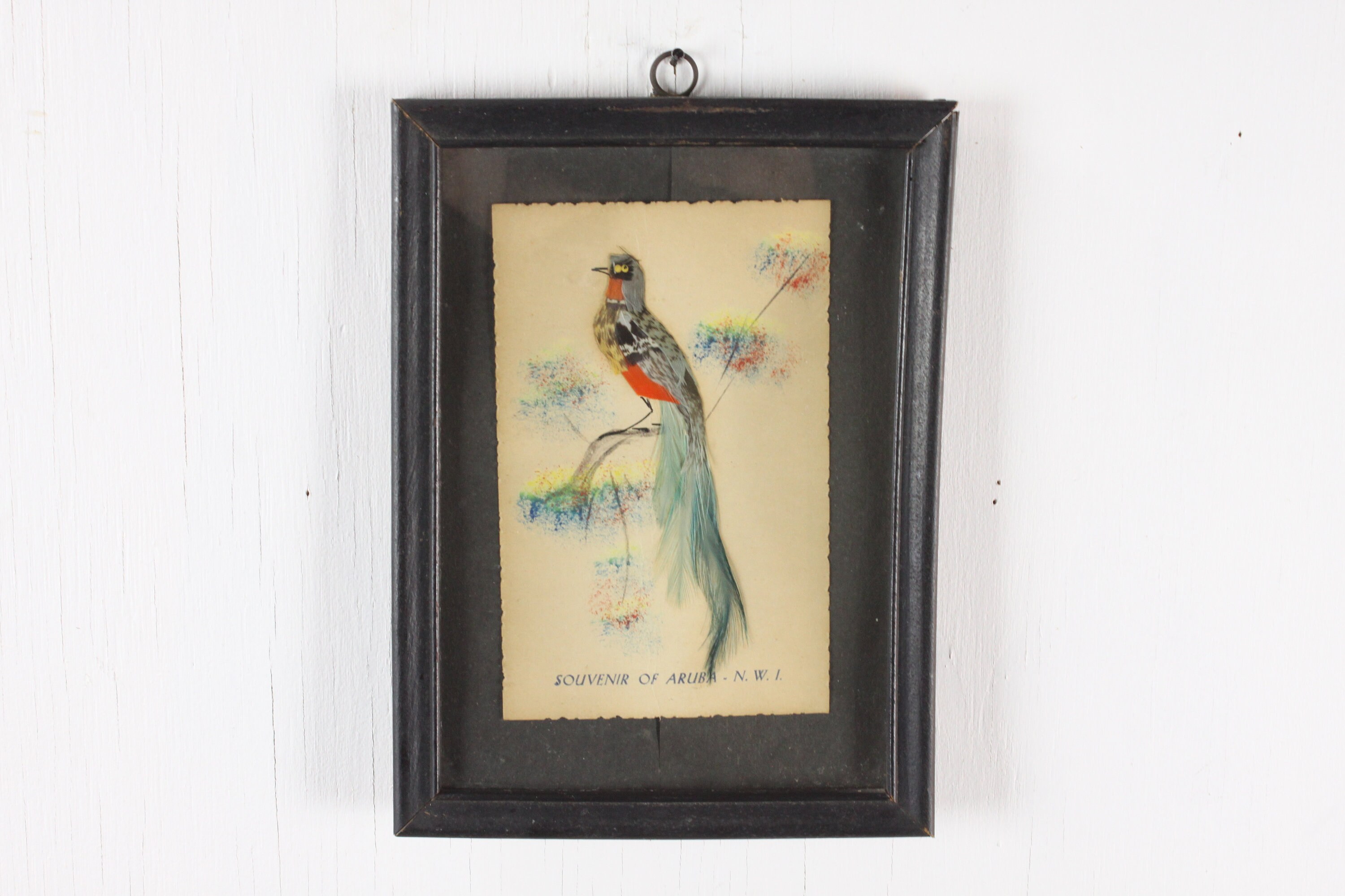 Vintage Faux Taxidermy Bird Souvenir Of Aruba Black Frame Vintage Faux Taxidermy Bird Souvenir