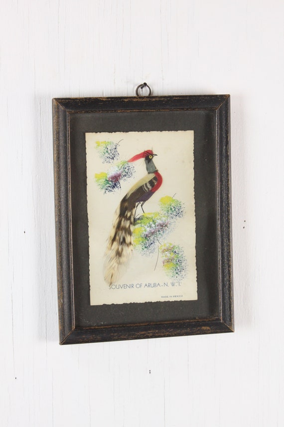 Vintage Faux Taxidermy Bird Souvenir Of Aruba Vintage Faux Taxidermy Bird Souvenir Of