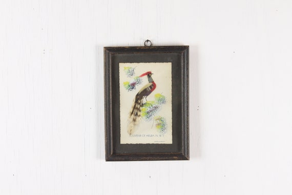 Vintage Faux Taxidermy Bird Souvenir Of Aruba Vintage Faux Taxidermy Bird Souvenir Of