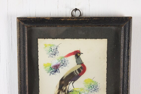 Vintage Faux Taxidermy Bird Souvenir Of Aruba Vintage Faux Taxidermy Bird Souvenir Of