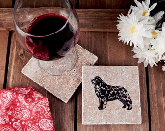 Set of 4 Newfoundland Travertine Stone Coasters