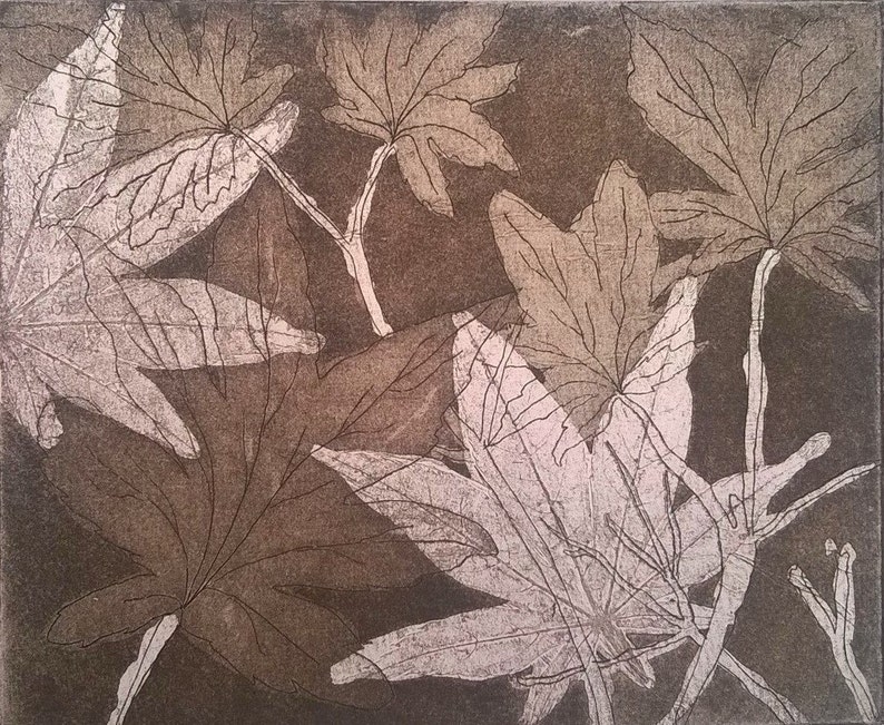 Japanese maple leaves fine art etching print limited edition Etsy