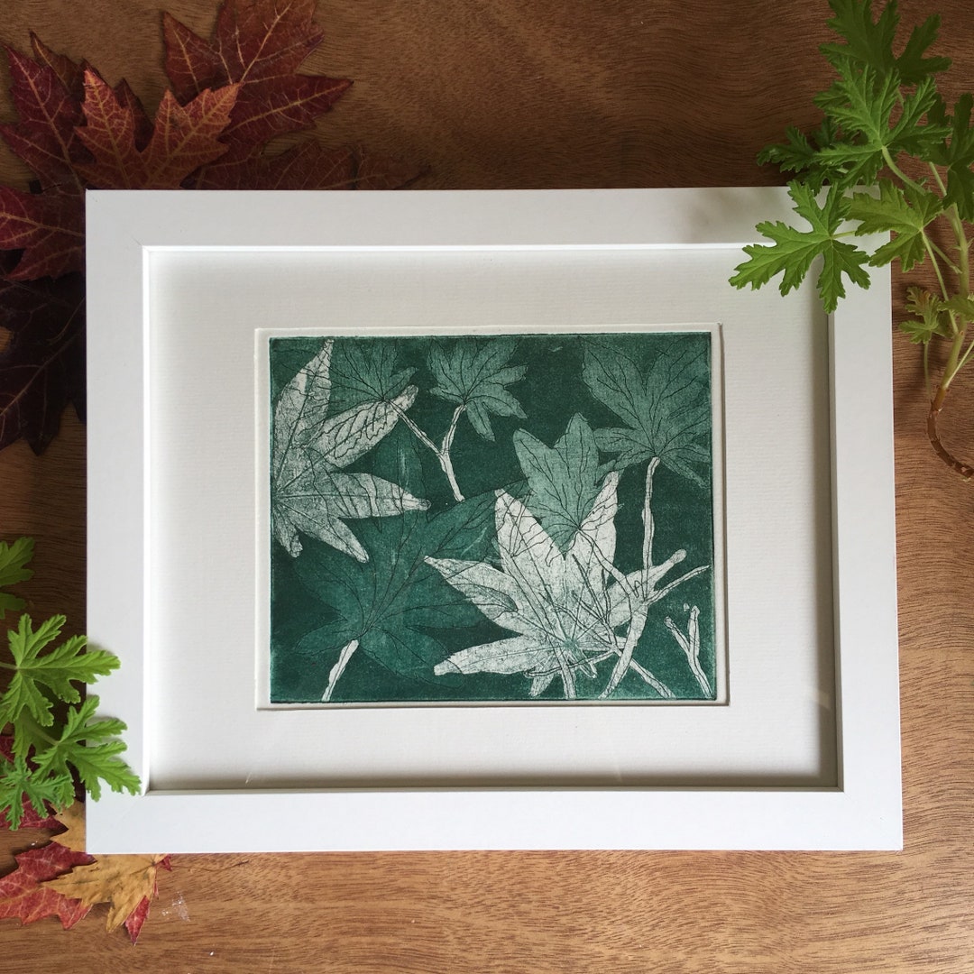 Fine Art Etching Original Artwork Prints, Japanese Maple Leaves Limited