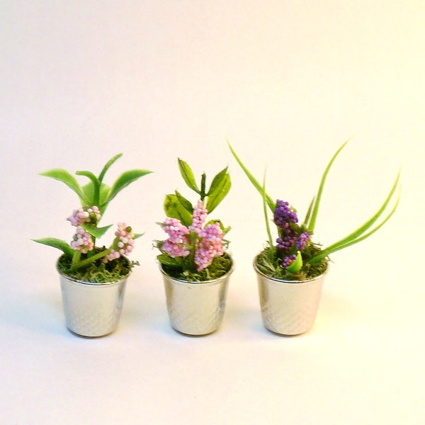 Thimble Planters Miniature Flowers Fairy Garden Plants Set of 3