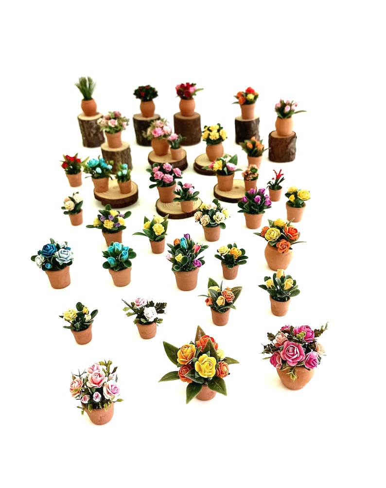 May include: A collection of miniature potted plants featuring various colorful flowers in small terracotta-colored pots. Some pots are displayed on small wooden log slices, while others sit directly on the surface. The flowers include roses.