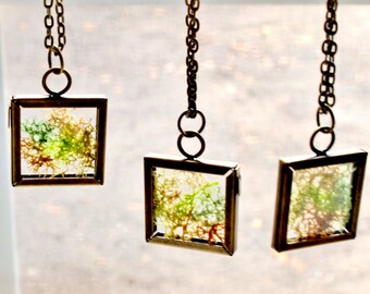 Terrarium Necklace Rainbow of Mosses in Antique Brass and Glass Pendant Boho Jewelry Nature Jewelry