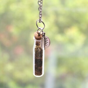 Nature Jewelry Moss Terrarium Necklace Unique Gift Summer Jewelry Glass Bottle Necklace Silver Plated Leaf Charm Terrarium Jewelry