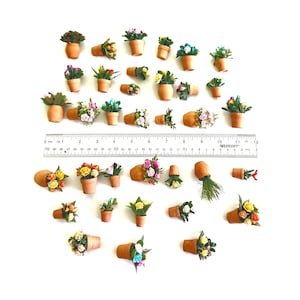 May include: A collection of miniature potted plants with various colorful flowers in small terracotta-colored pots, arranged around a 12-inch Westcott ruler to show scale. The plants feature diverse green foliage and blossoms in shades of red, yellow, pink, and blue.