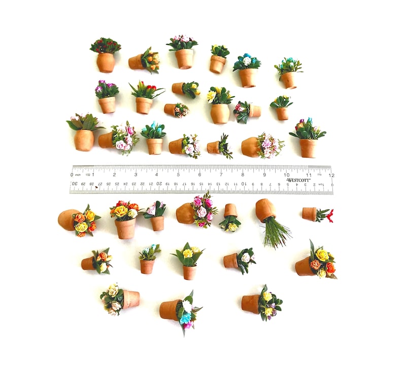 May include: A collection of miniature potted plants with various colorful flowers in small terracotta-colored pots, arranged around a 12-inch Westcott ruler to show scale. The plants feature diverse green foliage and blossoms in shades of red, yellow, pink, and blue.