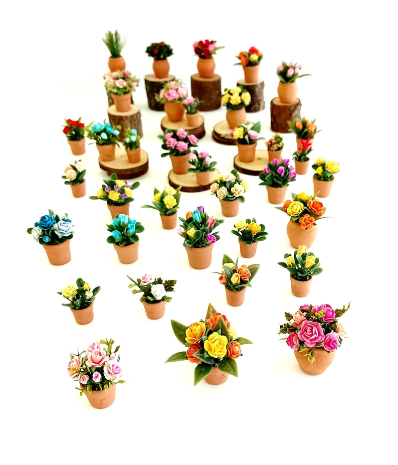 May include: A collection of miniature potted plants featuring various colorful flowers in small terracotta-colored pots. Some pots are placed on small wooden log slices. The flowers include shades of pink, yellow, orange, blue, and white.