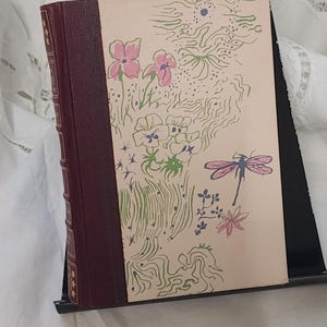 Może przedstawiać: Stara książka z bordowym grzbietem i okładką z kwiatowym wzorem. Okładka zawiera różowe kwiaty, ważkę i zielone linie na kremowym tle. Książka jest prezentowana na czarnym stojaku.