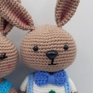 Amigurumi Crochet Berry Patch Bunny - Boy