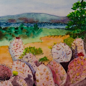 Sedona Fading Cacti  PRINTS