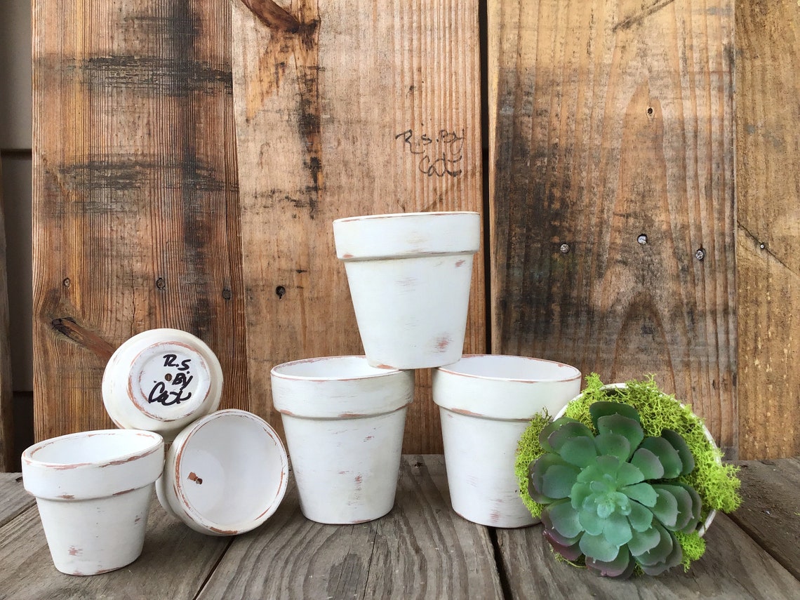 Rustic Distressed White Clay Pot Etsy
