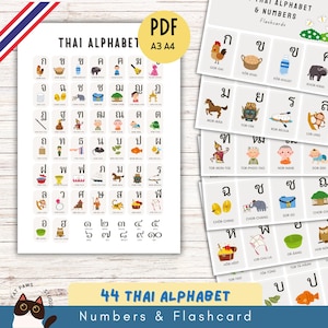 Set completo di 44 schede didattiche con alfabeto e numeri tailandesi / PDF stampabili / Schede per l'apprendimento della lingua tailandese / Dimensioni A4 e A3