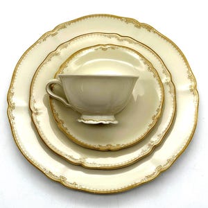 OPEN STOCK - Hutschenreuther Patern #6464